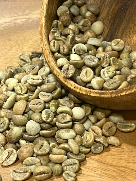 Origin of Ethiopia raw coffee bean 