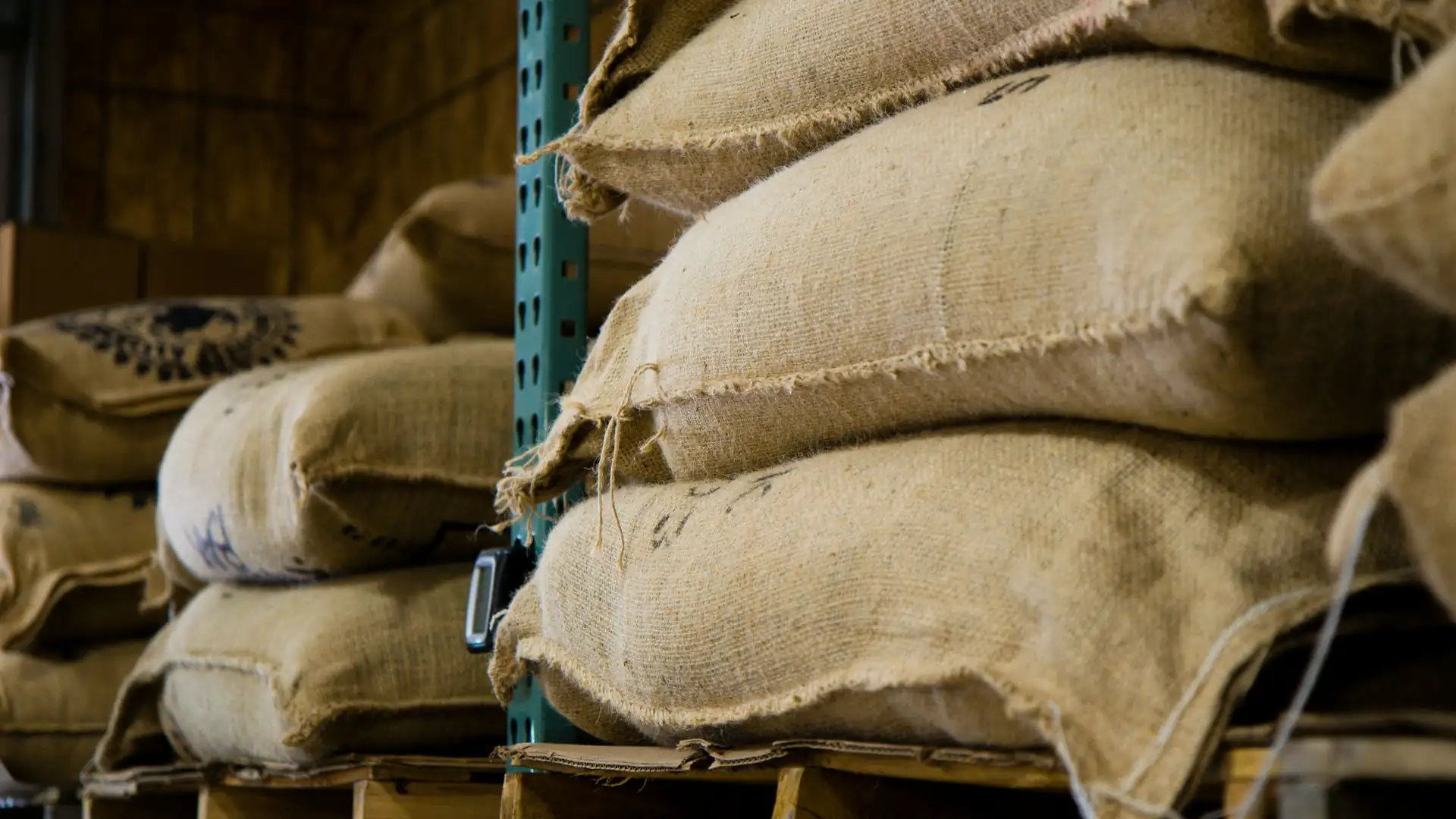 Coffee sacks in warehouse